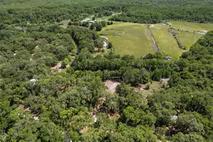 6946 E Channel Dr, Hernando, FL 34442 - Photo 42