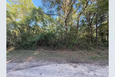 762 E Elgrove Drive, Dunnellon, FL 34434 - Photo 2