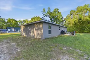 15541 NE 13 Ln, Williston, FL 32696 - Photo 6