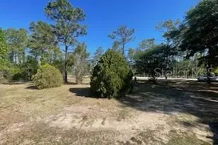 14050 SE 20 St, Morriston, FL 32668 - Photo 20