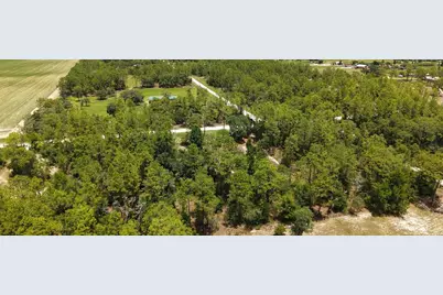 14050 SE 20 Street, Morriston, FL 32668 - Photo 30