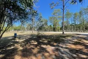 14050 SE 20 St, Morriston, FL 32668 - Photo 20