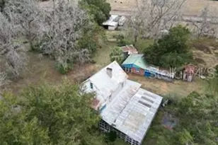 5950 NE Hwy 41, Williston, FL 32696 - Photo 16