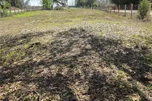 5950 NE Hwy 41, Williston, FL 32696 - Photo 14