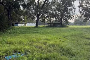 5950 NE Hwy 41, Williston, FL 32696 - Photo 22