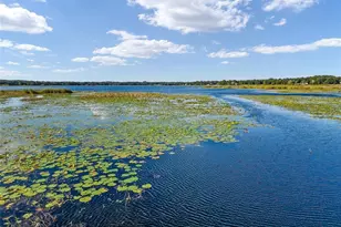 9947 SE 117th Street Rd, Belleview, FL 34420 - Photo 40