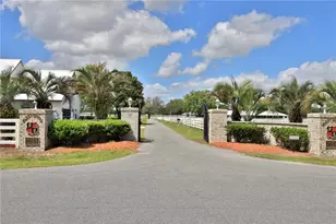 4450 SE 216 Ave, Morriston, FL 32668 - Photo 4