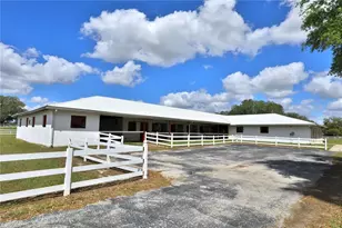 4450 SE 216 Ave, Morriston, FL 32668 - Photo 48