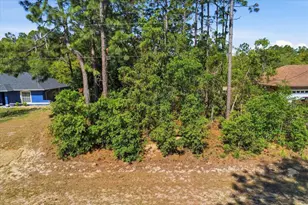 7672 N Cricket Dr, Citrus Springs, FL 34434 - Photo 34