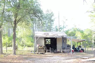 591 SE Fisher Rd, Ocklawaha, FL 32179 - Photo 8