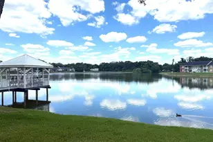 308 Lake Parsons Green, Brandon, FL 33511 - Photo 12
