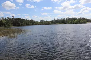 1112 NE 130th Terrace, Silver Springs, FL 34488 - Photo 46