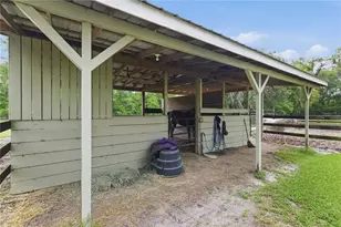 5999 NW 90th Ave, Ocala, FL 34482 - Photo 12