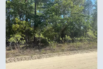 0000 SW 8th Place, Ocala, FL 34481 - Photo 1