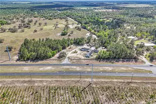 12850 US Hwy 27 Alt, Williston, FL 32696 - Photo 8