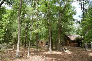 1859 NE 46th Cir, High Springs, FL 32643 - Photo 32