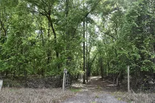 1859 NE 46th Cir, High Springs, FL 32643 - Photo 38