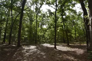 1859 NE 46th Cir, High Springs, FL 32643 - Photo 30