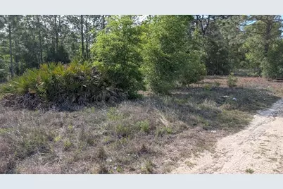 Lot 88 SW 152 Nd Court, Ocala, FL 34481 - Photo 6