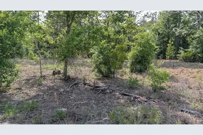 Lot 88 SW 152 Nd Court, Ocala, FL 34481 - Photo 2