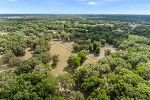 [Address not provided], Citra, FL 32113 - Photo 48