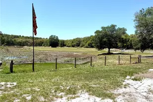 9711 SE Hwy 464C, Ocklawaha, FL 32179 - Photo 54