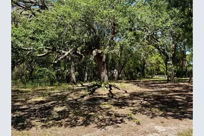 9711 SE Highway 464C, Ocklawaha, FL 32179 - Photo 56