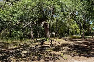 9711 SE Hwy 464C, Ocklawaha, FL 32179 - Photo 56
