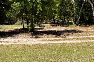 9711 SE Hwy 464C, Ocklawaha, FL 32179 - Photo 60