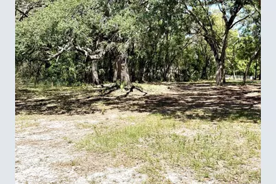 9711 SE Highway 464C, Ocklawaha, FL 32179 - Photo 64