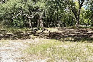 9711 SE Hwy 464C, Ocklawaha, FL 32179 - Photo 64