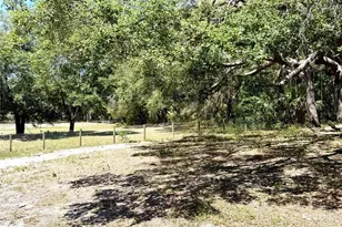 9711 SE Hwy 464C, Ocklawaha, FL 32179 - Photo 54