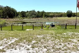 9711 SE Hwy 464C, Ocklawaha, FL 32179 - Photo 66