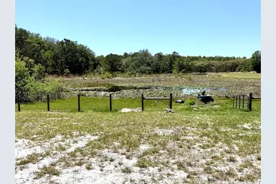 9711 SE Highway 464C, Ocklawaha, FL 32179 - Photo 68