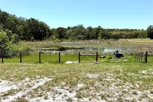 9711 SE Hwy 464C, Ocklawaha, FL 32179 - Photo 68
