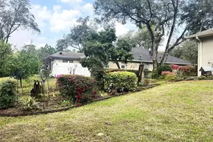 316 W Wason St, Citrus Springs, FL 34434 - Photo 40