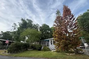 25155 NE 142nd Ln, Fort Mc Coy, FL 32134 - Photo 2