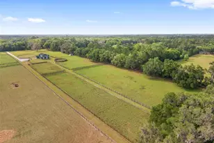 16201 NW 162nd Terrace, Williston, FL 32696 - Photo 62