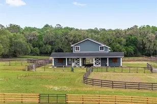 16201 NW 162nd Terrace, Williston, FL 32696 - Photo 4
