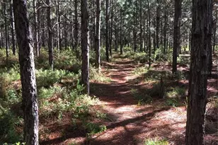 1069 SE 57th Ave, Ocala, FL 34480 - Photo 58