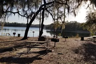 13261 NE 155th Ln, Fort Mc Coy, FL 32134 - Photo 72