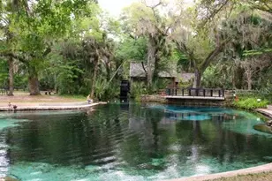 13261 NE 155th Ln, Fort Mc Coy, FL 32134 - Photo 44