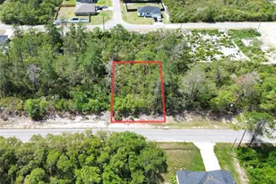 Tbd Fisher Pass, Ocklawaha, FL 32179 - Photo 1