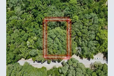 Tbd Fisher Lane Drive, Ocklawaha, FL 32179 - Photo 1