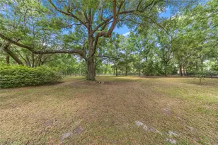 9175 SE 7th Avenue Rd, Ocala, FL 34480 - Photo 48