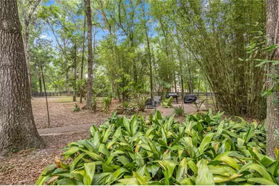 9175 SE 7th Avenue Road, Ocala, FL 34480 - Photo 50