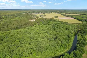 15120 SE 85th St, Ocklawaha, FL 32179 - Photo 12