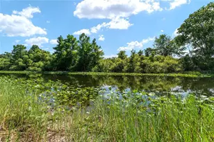 15120 SE 85th St, Ocklawaha, FL 32179 - Photo 50