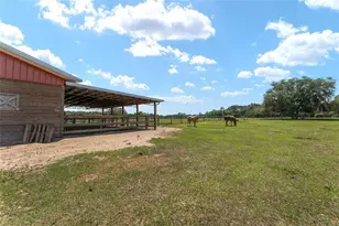 15120 SE 85th St, Ocklawaha, FL 32179 - Photo 38