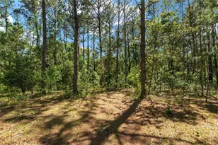 15120 SE 85th St, Ocklawaha, FL 32179 - Photo 42